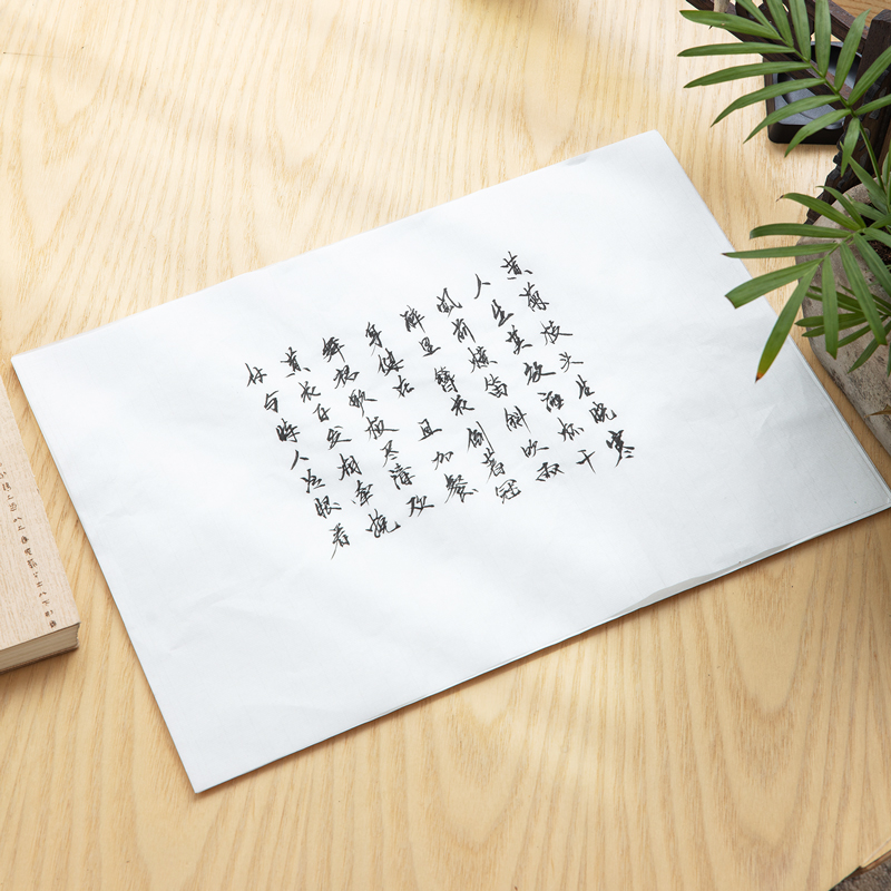 得力75307書(shū)畫(huà)紙(白)(30張/袋)