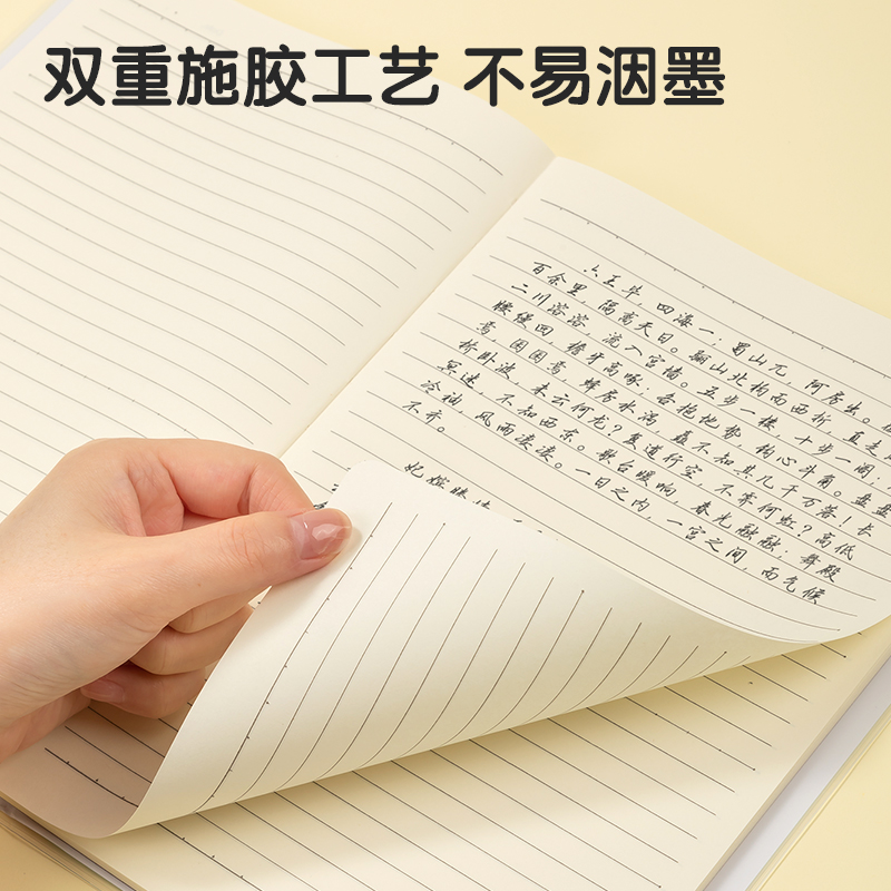得力T1696-1膠套本(樂素)(本)
