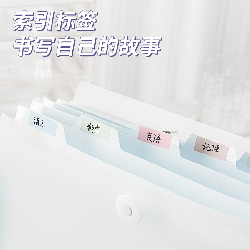 得力5737淺調(diào)印象8格便攜學(xué)生風(fēng)琴包(混)(個(gè))