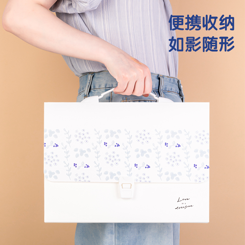 得力PM318簡(jiǎn)單格調(diào)PP13格風(fēng)琴包(簡(jiǎn)單格調(diào)混)(個(gè))