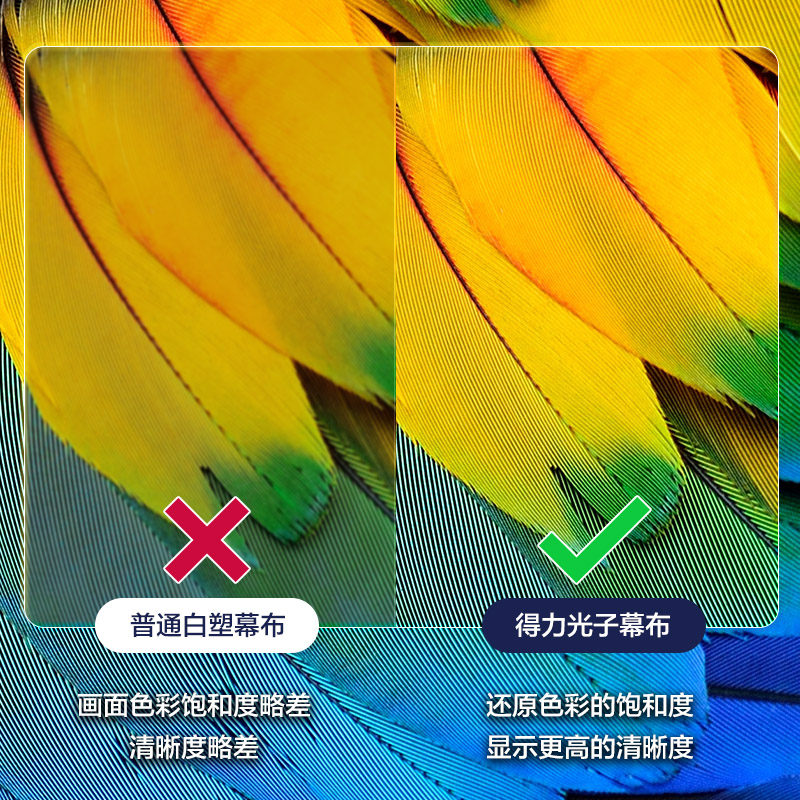 得力MS353-100英寸16:9光子懸掛支架幕(黑)(條)