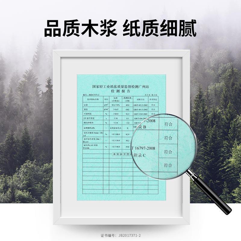 得力波羅海BL241-5電腦打印紙(1/3CS彩色撕邊)(500頁/盒)