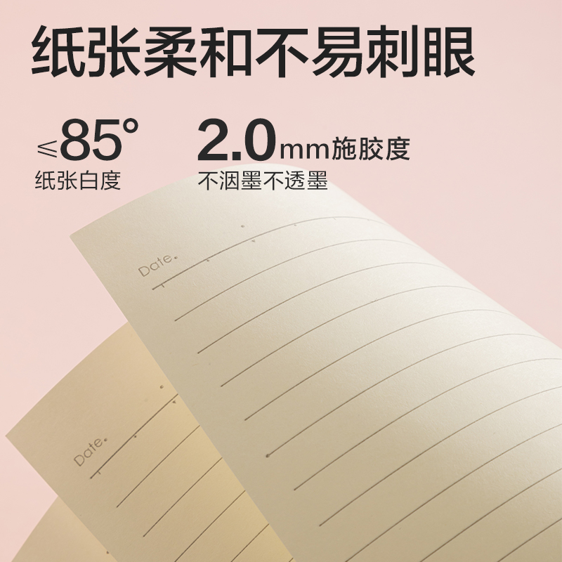 得力T1680膠套本(光櫻下4)(本)