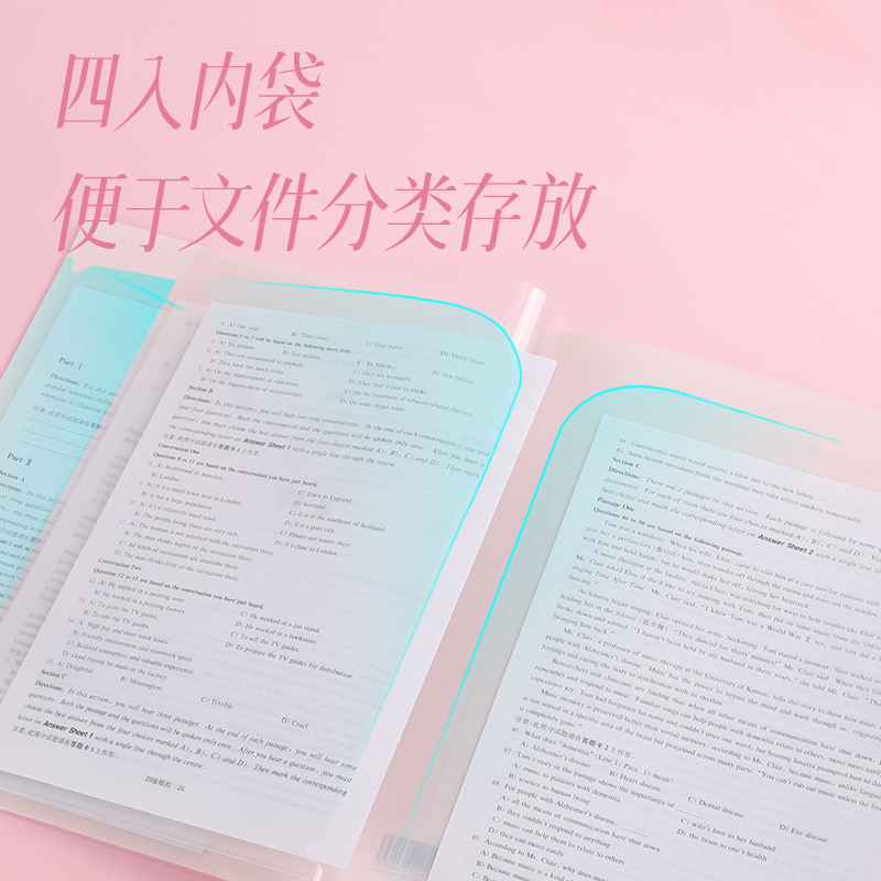 得力PP501_A4光櫻下4入文件套(櫻花混)(個)