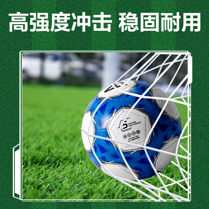 安格耐特FD201_5號(hào)發(fā)泡PVC機(jī)縫足球(白+藍(lán))(個(gè))