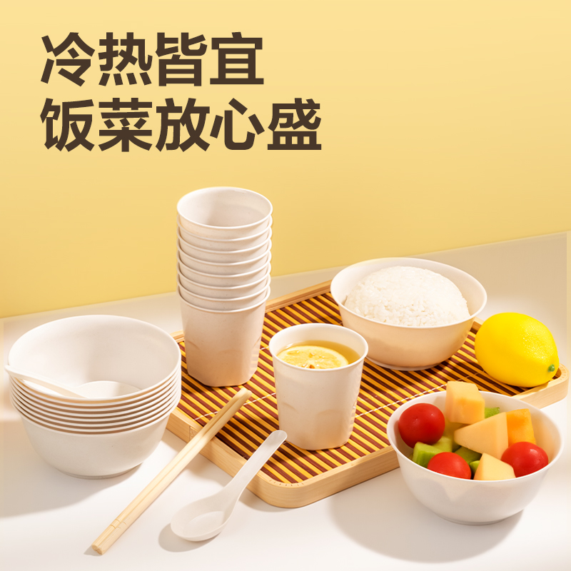 得力得心LL257 一次性餐具套裝(杯、碗、勺、筷)(混)(10人份裝)
