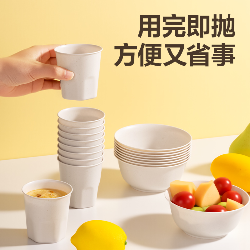 得力得心LL257 一次性餐具套裝(杯、碗、勺、筷)(混)(10人份裝)