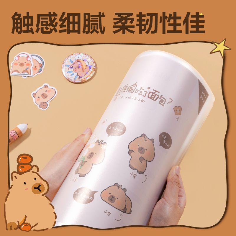 得力BL702-40卡皮巴拉系列40頁資料冊(cè)(混)(個(gè))