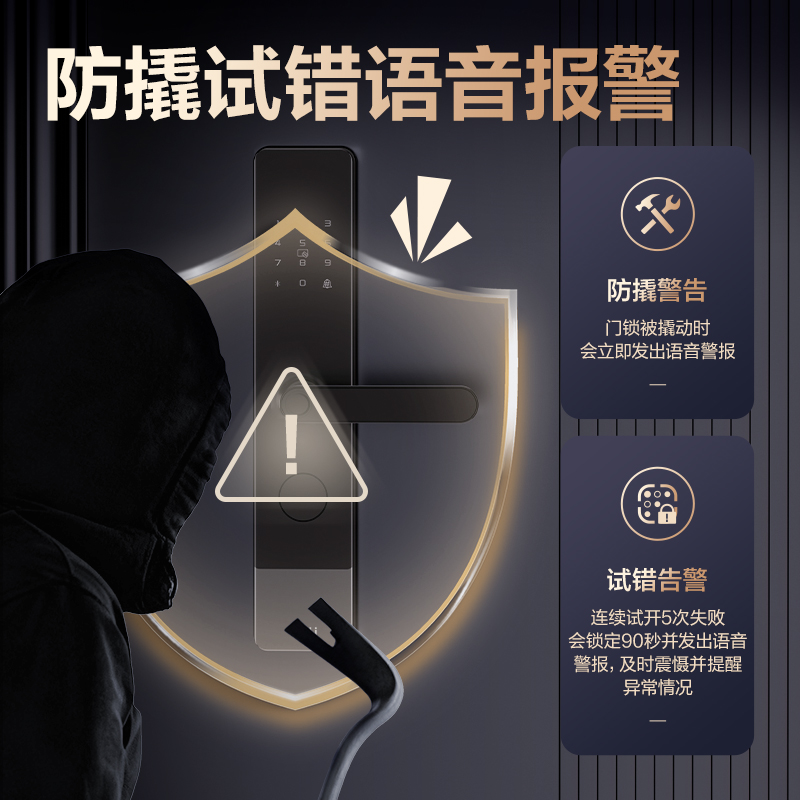 得力AL310門(mén)禁設(shè)備及配件智能門(mén)鎖(黑)(臺(tái))