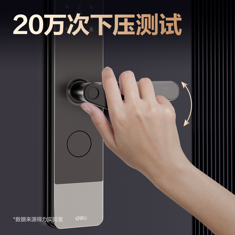 得力AL310門(mén)禁設(shè)備及配件智能門(mén)鎖(黑)(臺(tái))