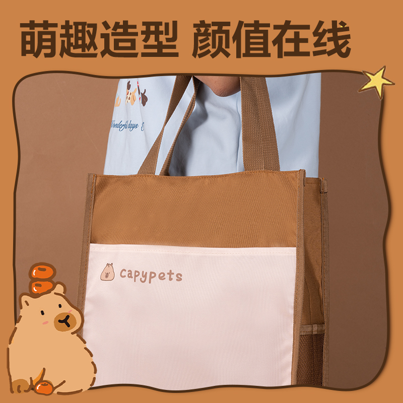 得力BL757卡皮巴拉簡(jiǎn)約補(bǔ)習(xí)袋(混)(個(gè))
