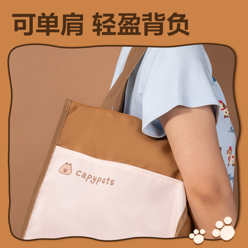 得力BL757卡皮巴拉簡(jiǎn)約補(bǔ)習(xí)袋(混)(個(gè))