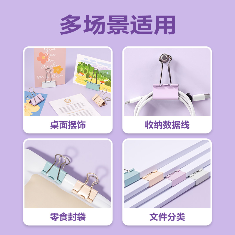 得力TP313經(jīng)濟(jì)型莫蘭迪色長尾票夾3#夾寬32mm(混)(24個(gè)/筒)
