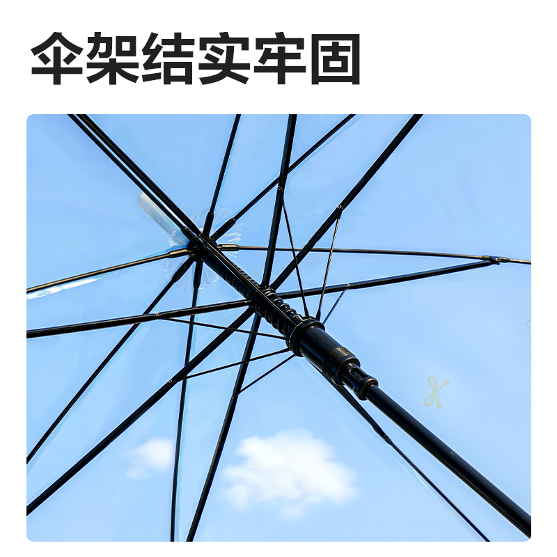 得力LY502印花透明長柄傘(混)(把)