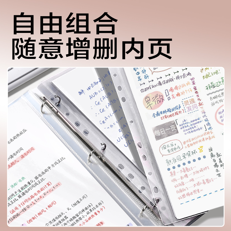 得力PE136_PP3孔夾(棕)(個)