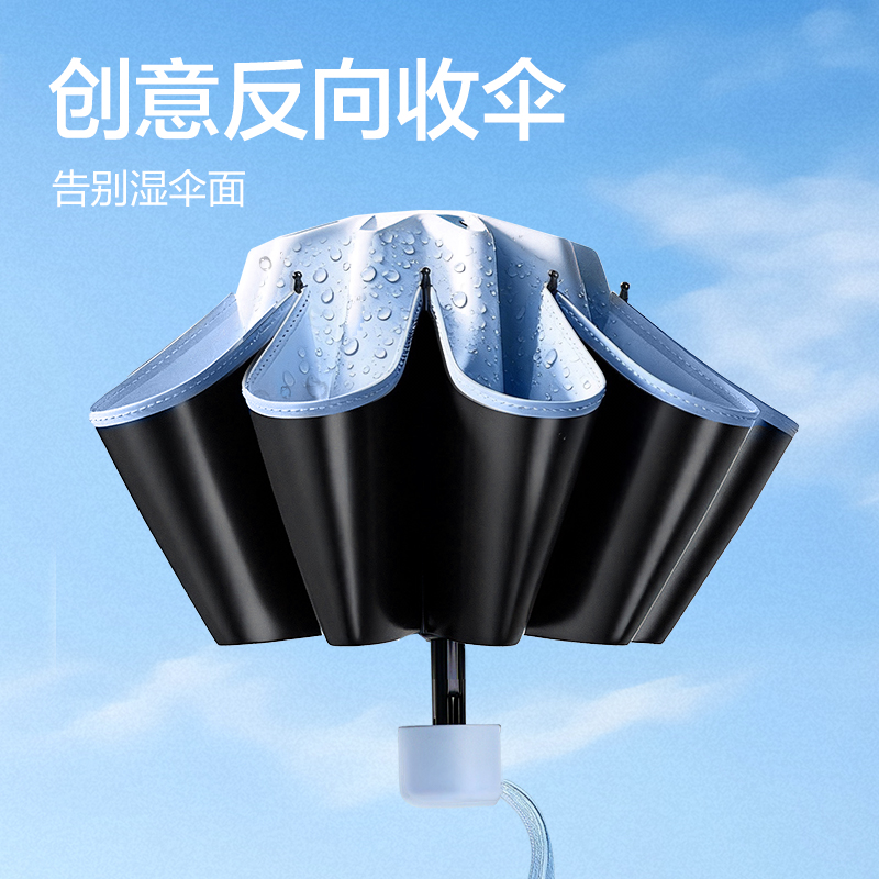 得力LY588雨傘套裝(混)(套)
