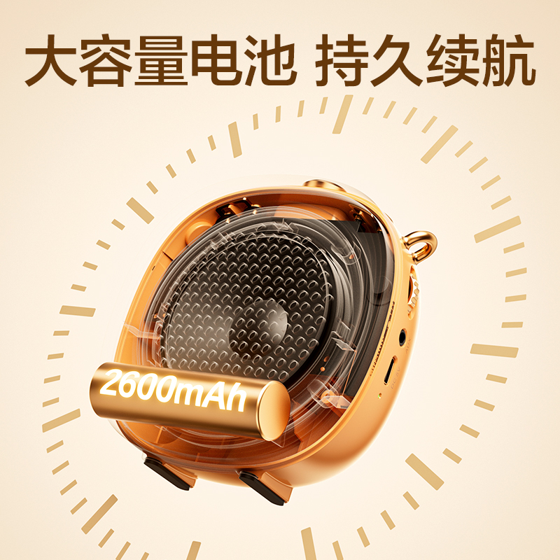 得力LT941J領(lǐng)夾麥擴(kuò)音器(金)(臺(tái))