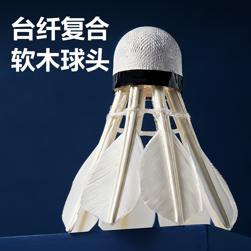 安格耐特FH111-6羽毛球-粗桿羽球(6只裝)(白)(筒)