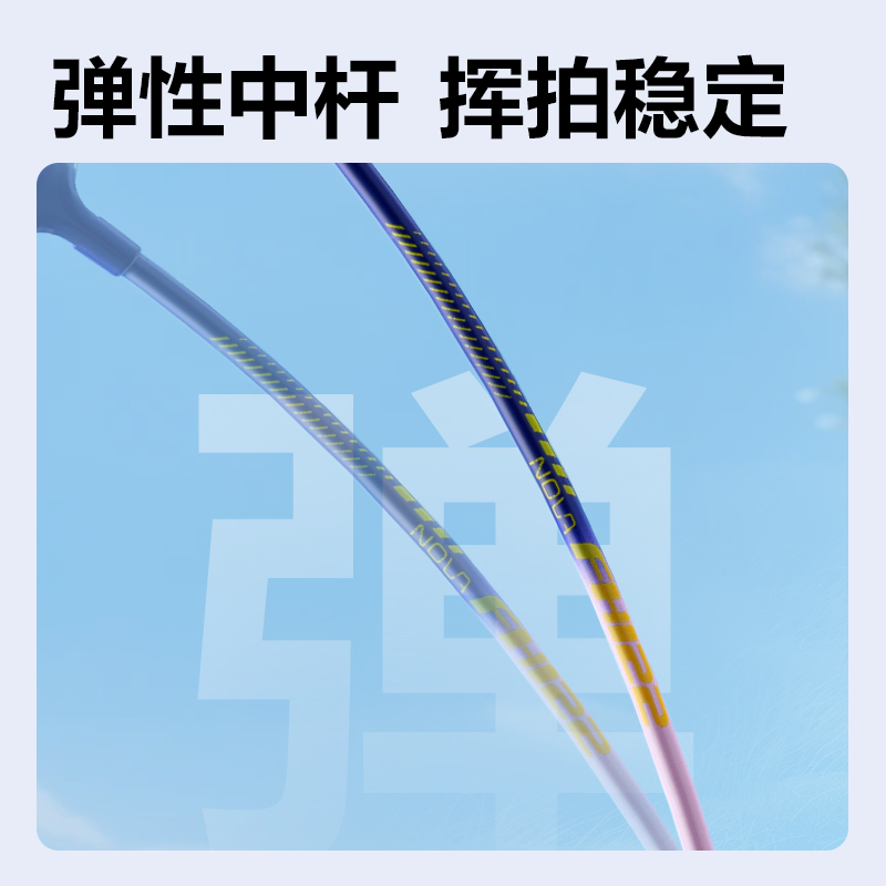 安格耐特FH122-A鐵合金羽毛球拍-帶3球-帶護(hù)套(藍(lán)紅、藍(lán)紫)(付)