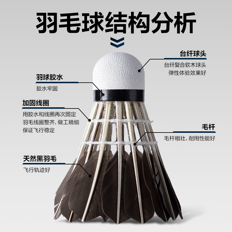 安格耐特FH180-6羽毛球-黑羽(6只/筒)(黑)(筒)